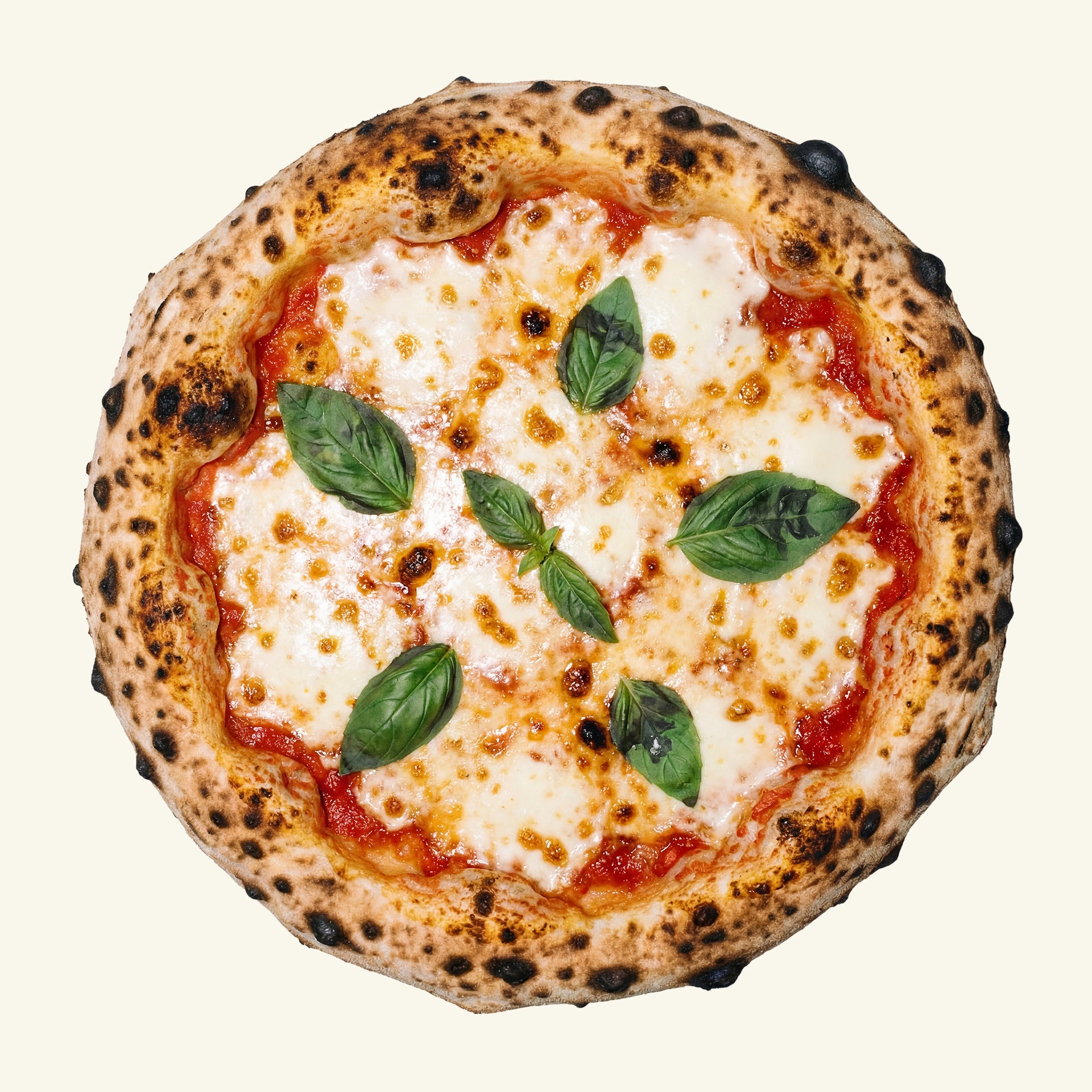 THE CLASSIC CHEESE
